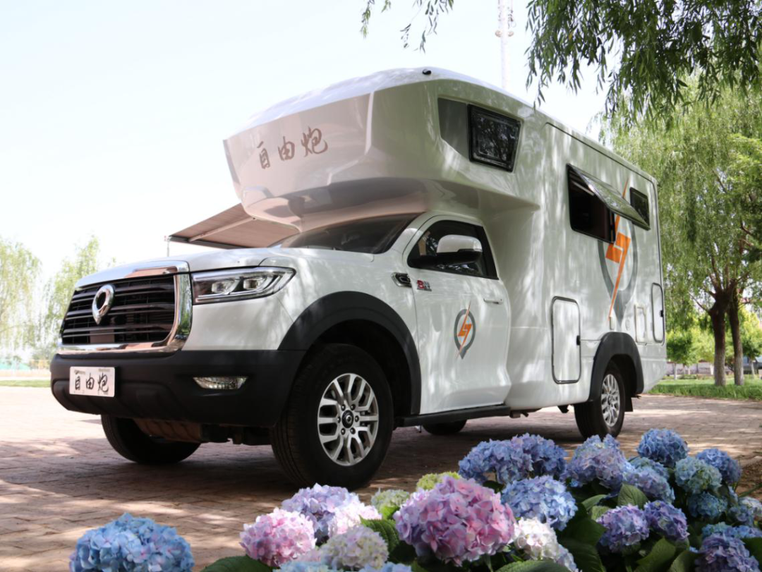 為自由著色！紅、白、藍、棕，你選哪一種？